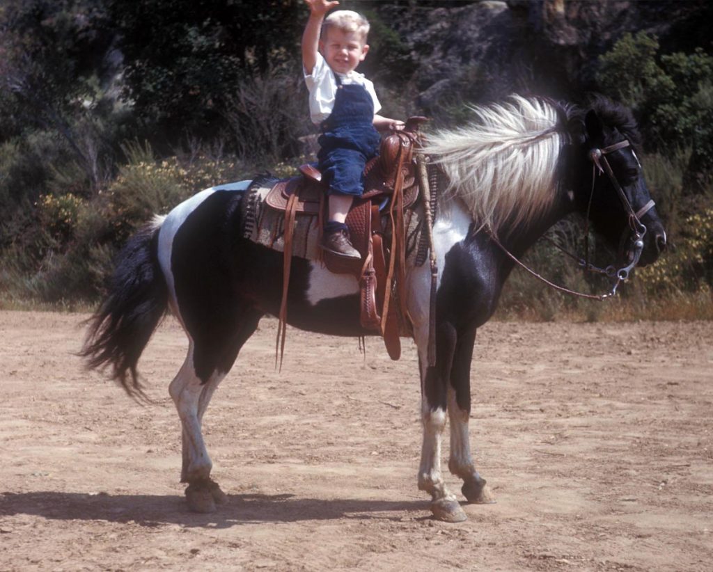 1953-4Stevie on horseback